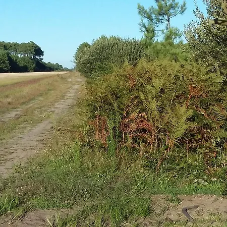 Et Nature Sanguinet