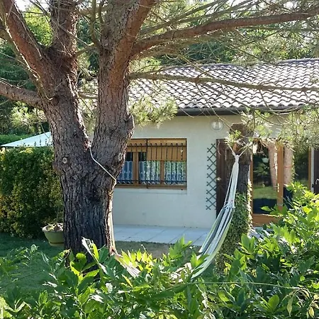 Holiday home Et Nature Sanguinet