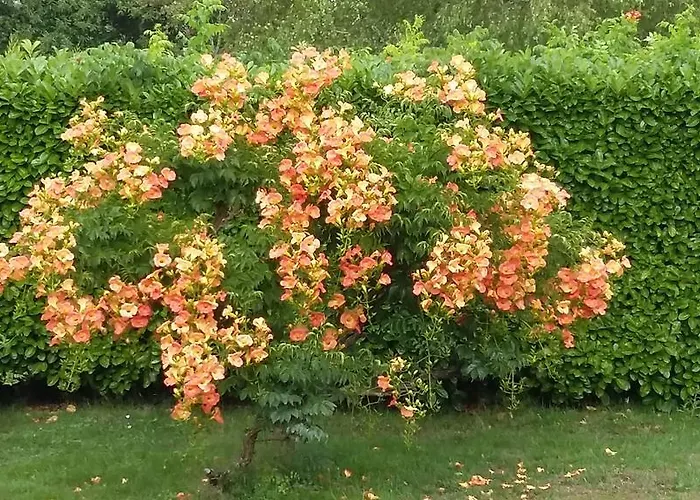 Vakantiehuis Et Nature *