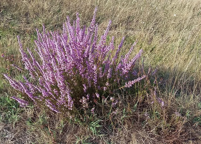 펜션 Et Nature 상기네